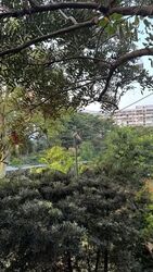 Lakeside Grove (D22), Terrace #610114411